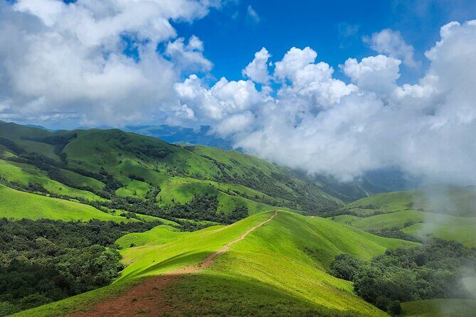 Chikmagalur Coffee Trail 2 Day Private Tour from Bangalore - Transport, Timing, and Overall Value