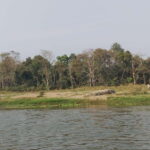 Chitwan Combo Tour: Jeep Safari, Canoeing & Jungle Walk - Who Should Consider This Tour?