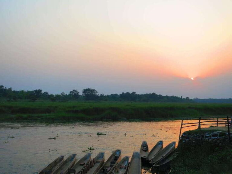Chitwan Jungle Safari - 2 nights / 3 days - The Itinerary Breakdown: What You Can Expect