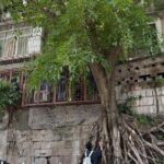 CHONGQING City Guided Hiking Day Tour: Lens, Bites & Hidden Steps - An In-Depth Look at the Chongqing Guided Hiking Tour