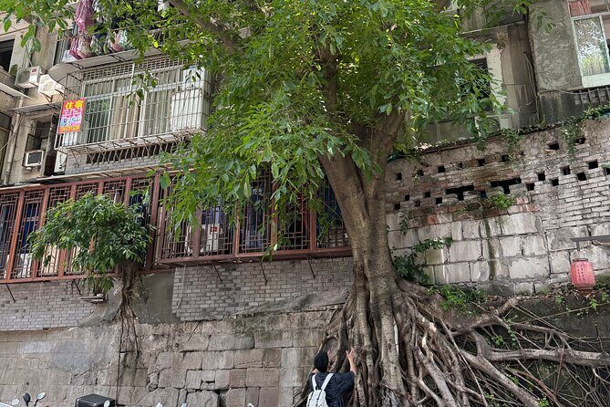 CHONGQING City Guided Hiking Day Tour: Lens, Bites & Hidden Steps - An In-Depth Look at the Chongqing Guided Hiking Tour