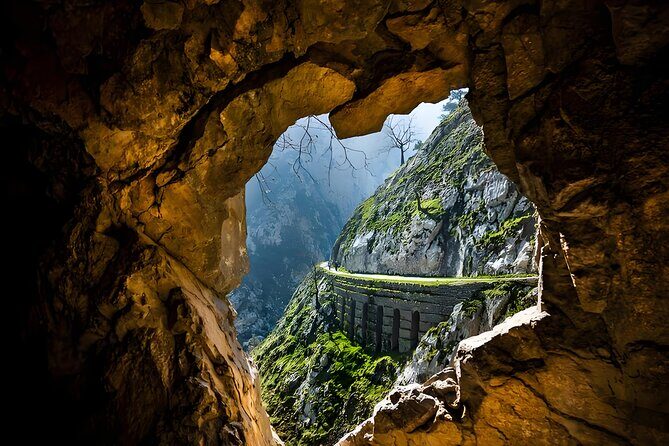 Chongqing Wulong National Park Private Nature Tour - Why This Tour Works Well