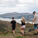 Christchurch Highlights Tour (Full Day Private) - The Sum Up