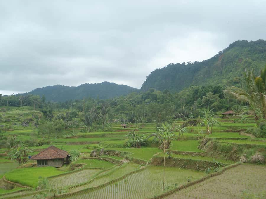Cianjur : Motor Bike Trip the Remote Village and Waterfall - Practical Tips and Considerations