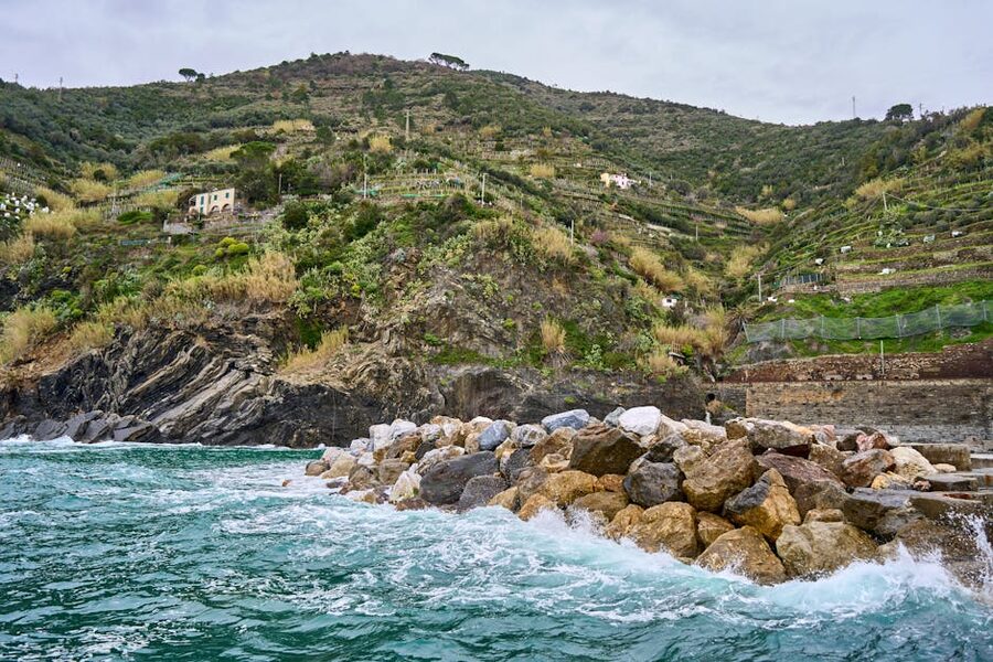 Cinque Terre rocky coastline with terraced vineyards