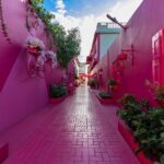 City Tour of the Historic Old Town of Puerto Plata - Practical Details: What to Expect