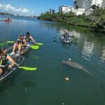 Clear Kayak Tour in Condado Lagoon - Practical Details and Tips for Booking