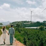 Cloud Hunting and The Glow of Dawn Tour in Da Lat - What’s Included and What’s Not