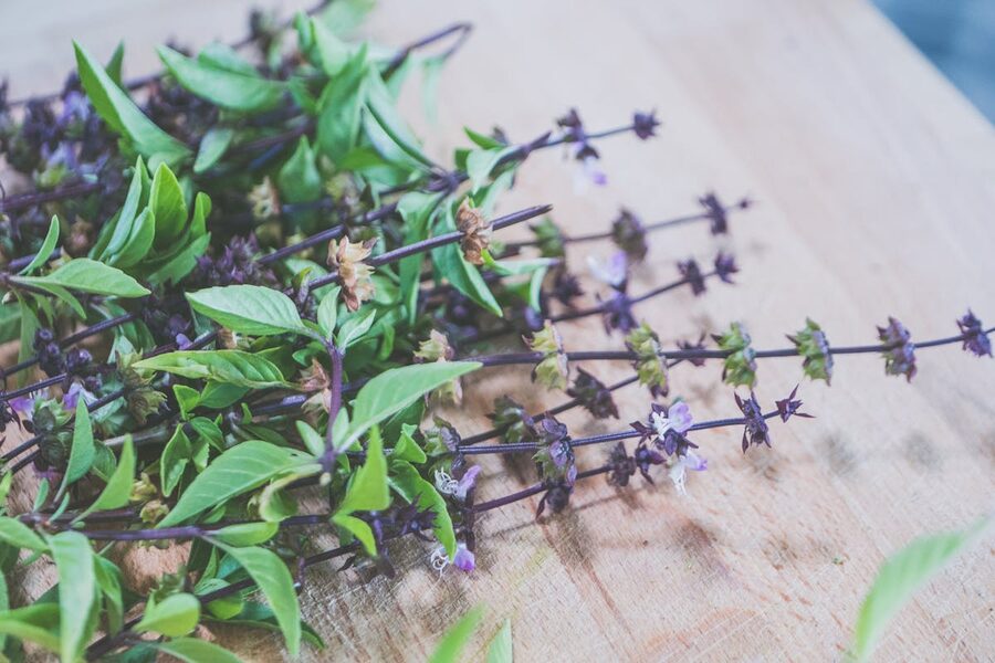 Close-up of fresh Thai basil herbs on a wooden counter