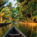 Cochin Backwaters Tour: Eco Boat Ride & Traditional Lunch - The Experience in Detail