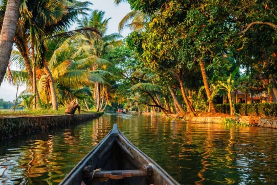 Cochin Backwaters Tour: Eco Boat Ride & Traditional Lunch - The Experience in Detail