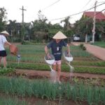 Coconut Jungle - Vegetable & Pottery Village- PRIVATE TRANSFER - Who Would Love This Tour?