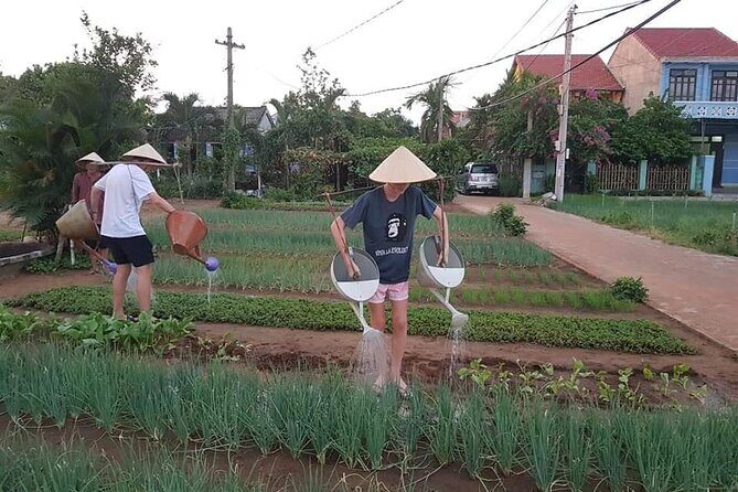 Coconut Jungle - Vegetable & Pottery Village- PRIVATE TRANSFER - Who Would Love This Tour?