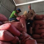 Coffee Experience _From Farm to Cup by Elon Farm - The Itinerary: What to Expect