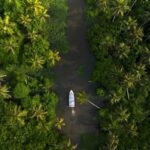 Coimbatore: Thrissur and Guruvayur Tour with Transfers - Who Should Consider This Tour?