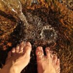 Combination: Argyle Waterfall & Tropical Garden with Hummingbirds - Practical Details & Whats Included