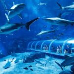 Combo Tickets for Universal Studios and Gardens by the Bay - Gardens by the Bay: Nature’s Art and Engineering Marvel