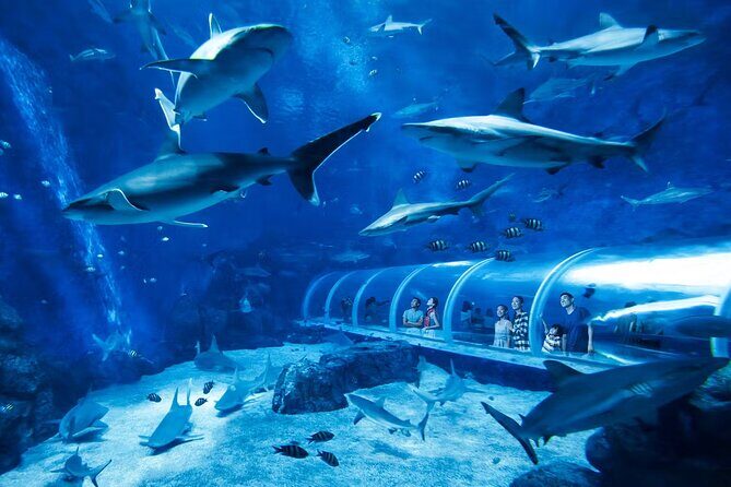 Combo Tickets for Universal Studios and Gardens by the Bay - Gardens by the Bay: Nature’s Art and Engineering Marvel