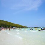 Coral Island Koh Larn Tour in Pattaya - Who Is This Tour Best For?