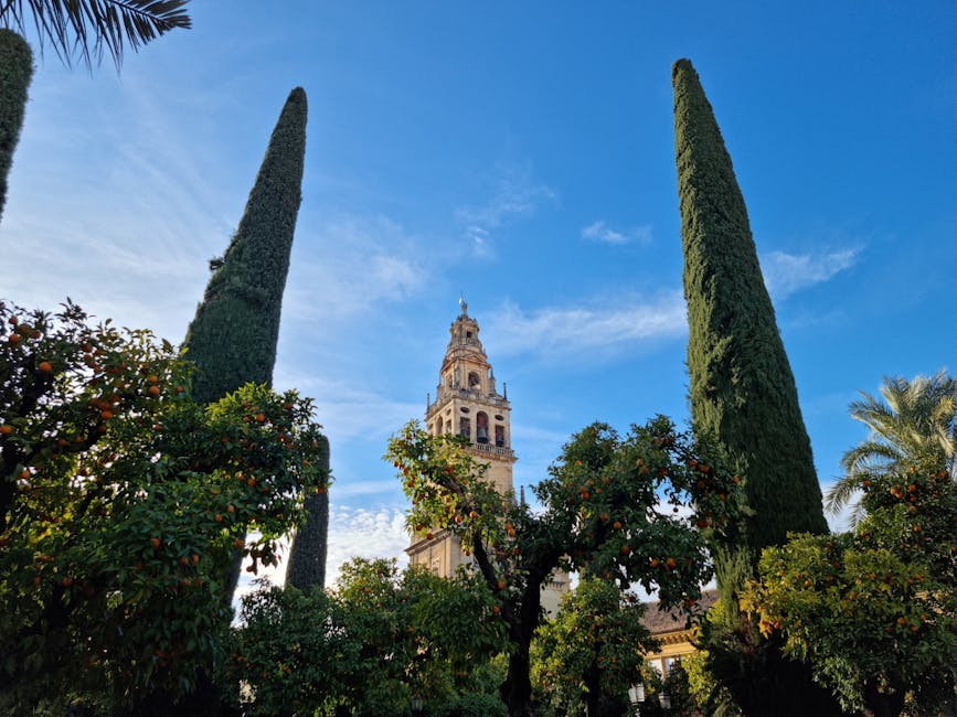 Cordoba Mezquita bell tower framed by trees