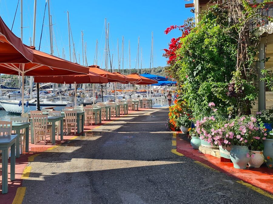 Greek taverna Paxos marina flowers boats