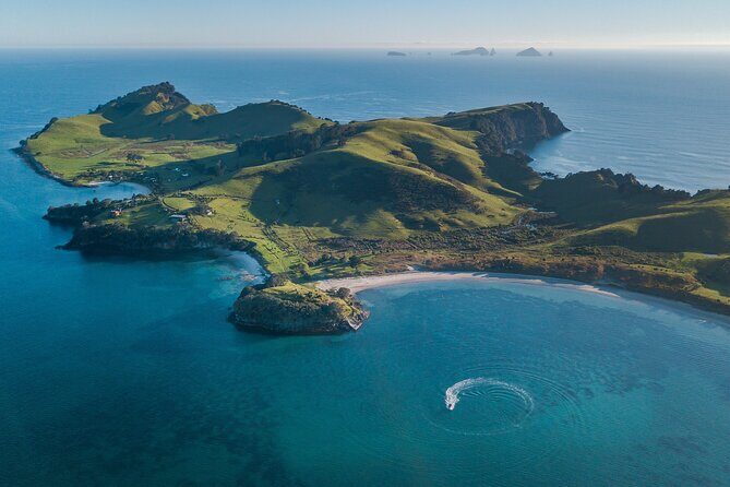 Coromandel Adventure and Wildlife Boat Tour to Aldermen Islands - Final Thoughts: Is This Tour for You?