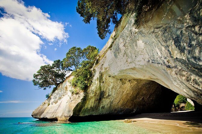 Coromandel Coastal Experience - Small Group Tour from Auckland - Hot Water Beach: Digging Your Own Spa