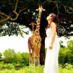 Coron: Calauit Safari Black Island Lunch & Transfer included - Detailed Breakdown of the Itinerary