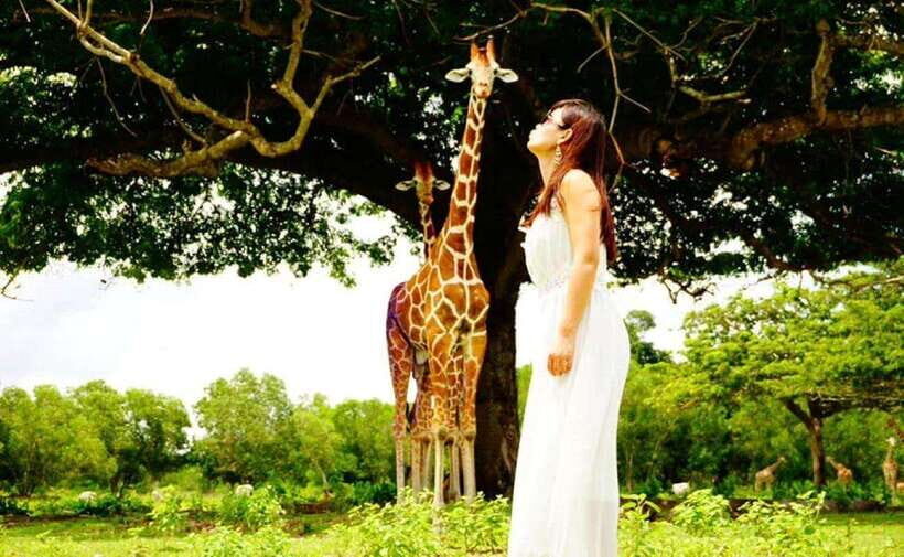 Coron: Calauit Safari Black Island Lunch & Transfer included - Detailed Breakdown of the Itinerary