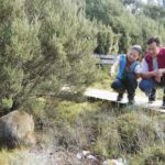 Cradle Mountain Wildlife Spotting after Dark - Exploring the Details of the Cradle Mountain Wildlife Spotting after Dark Tour