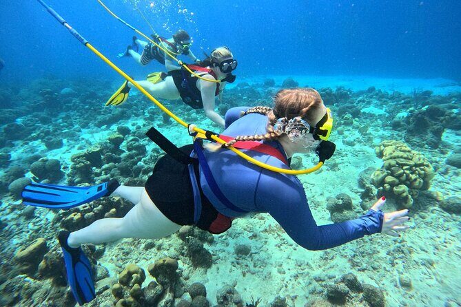 Curacao Sea Trek Snuba Combo Walk Tour and Dive the Ocean - In-Depth Look at the Experience