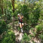 Currumbin Wildlife Sanctuary & TreeTop Challenge Combo - What to Expect at Currumbin Wildlife Sanctuary