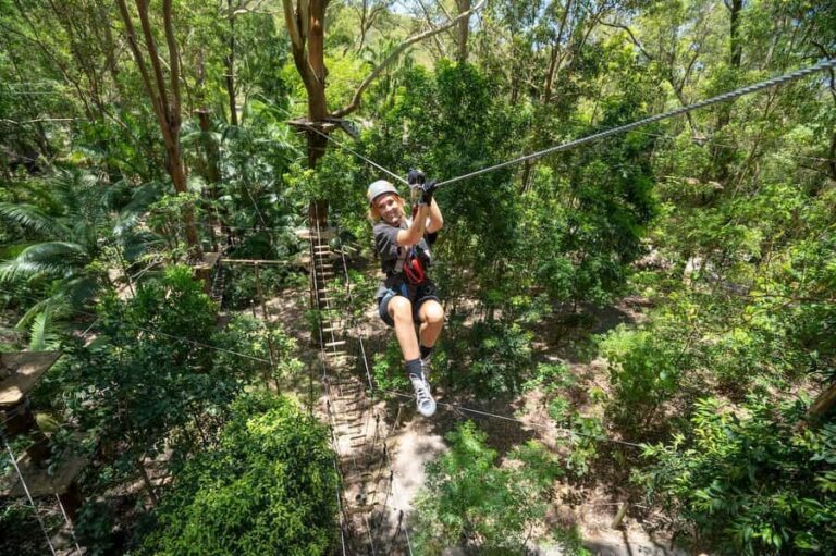 Currumbin Wildlife Sanctuary & TreeTop Challenge Combo - What to Expect at Currumbin Wildlife Sanctuary