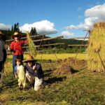 Custom Bike and Walk Countryside Adventure in Rural Japan - Who Will Love This Experience?