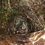 Customized Itoshima Photogenic Tour - Final Words