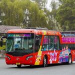 Da Lat Sightseeing Double -Decker Bus Tour | Vietnam - Tips for Making the Most of Your Experience