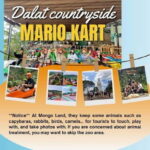 Dalat Mario Kart - Mongo Land - Countryside Small Group Tour - An In-Depth Look at the Tour Experience