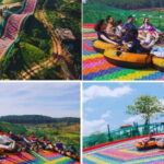 Dalat: Mario kart - Mongo Land - Countryside Tour - Practicalities and Pricing: Is It Worth It?