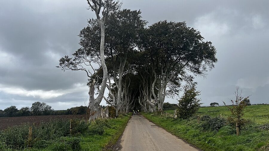 The Dark Hedges beech avenue on Bregagh Road, Game of Thrones Kingsroad filming location