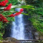Dark View Falls Tour with Trubb Taxi Tours SVG - The Itinerary in Detail