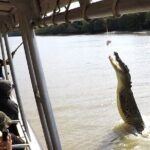 Darwin: Pathfinder Original Jumping Crocodile Cruise - Practical Considerations