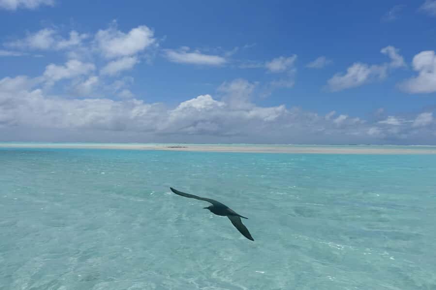 Day cruises to Tetiaroa - Practical Tips for Your Day Trip
