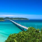 Day Trip Bus Tour from Fukuoka to Tunoshima, Yamaguchi - Why This Tour Appeals to Travelers