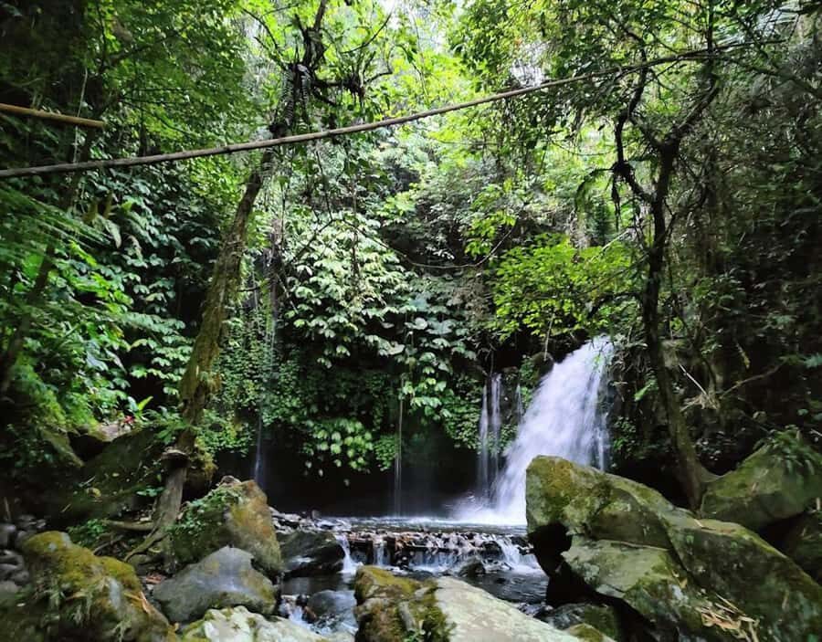 daytrip: sangeh monkey,jati luwih,yeh ho waterfalls - Exploring the Itinerary: What You’ll Experience