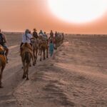 Dazzling Half Day Camel & Desert Safari With Sunset & Dinner - Why This Tour Offers Great Value
