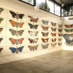 Delhi: Hidden Art Gallery Tour - An In-Depth Look at the Delhi Hidden Art Gallery Tour