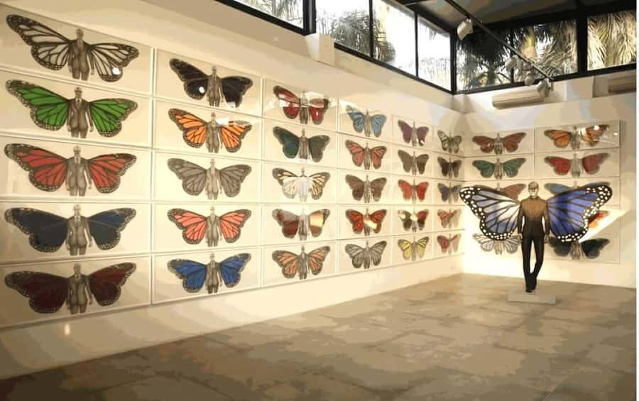 Delhi: Hidden Art Gallery Tour - An In-Depth Look at the Delhi Hidden Art Gallery Tour