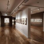 Delhi: Museums Tour with Curator-Led Session & Pickup - Practical Details and Value