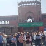 Delhi; New & Old Delhi Private Guided full & half day tour - Practical Details and Experience Quality