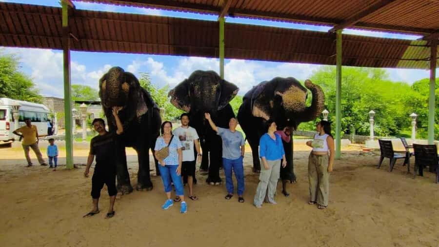 Delhi: Taj Mahal Sunrise Tour with Elephant Conservation - Who Should Consider This Tour?